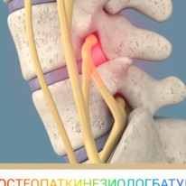 Дмитрий - Здоровье и медицина - Мануальная терапия, остеопатия и кинезиология