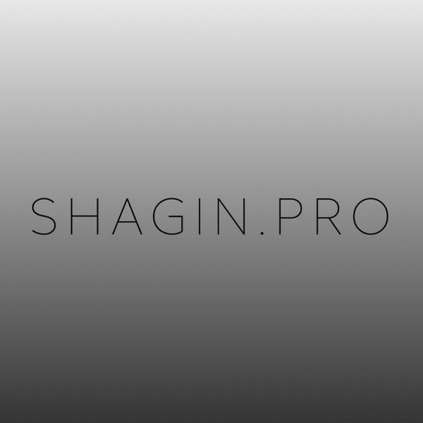 shagin.pro 