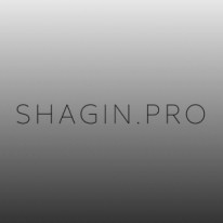 shagin.pro - Юристы и консультанты - Иммиграционные консультанты