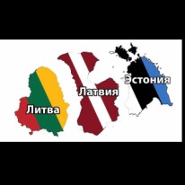 Литва: Миша - Пассажирские перевозки
