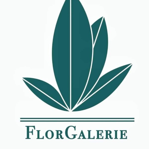 FlorGalerie  Дизайн, искусство, мода:  Флористика и декор  Австрия (Вена, Вена)